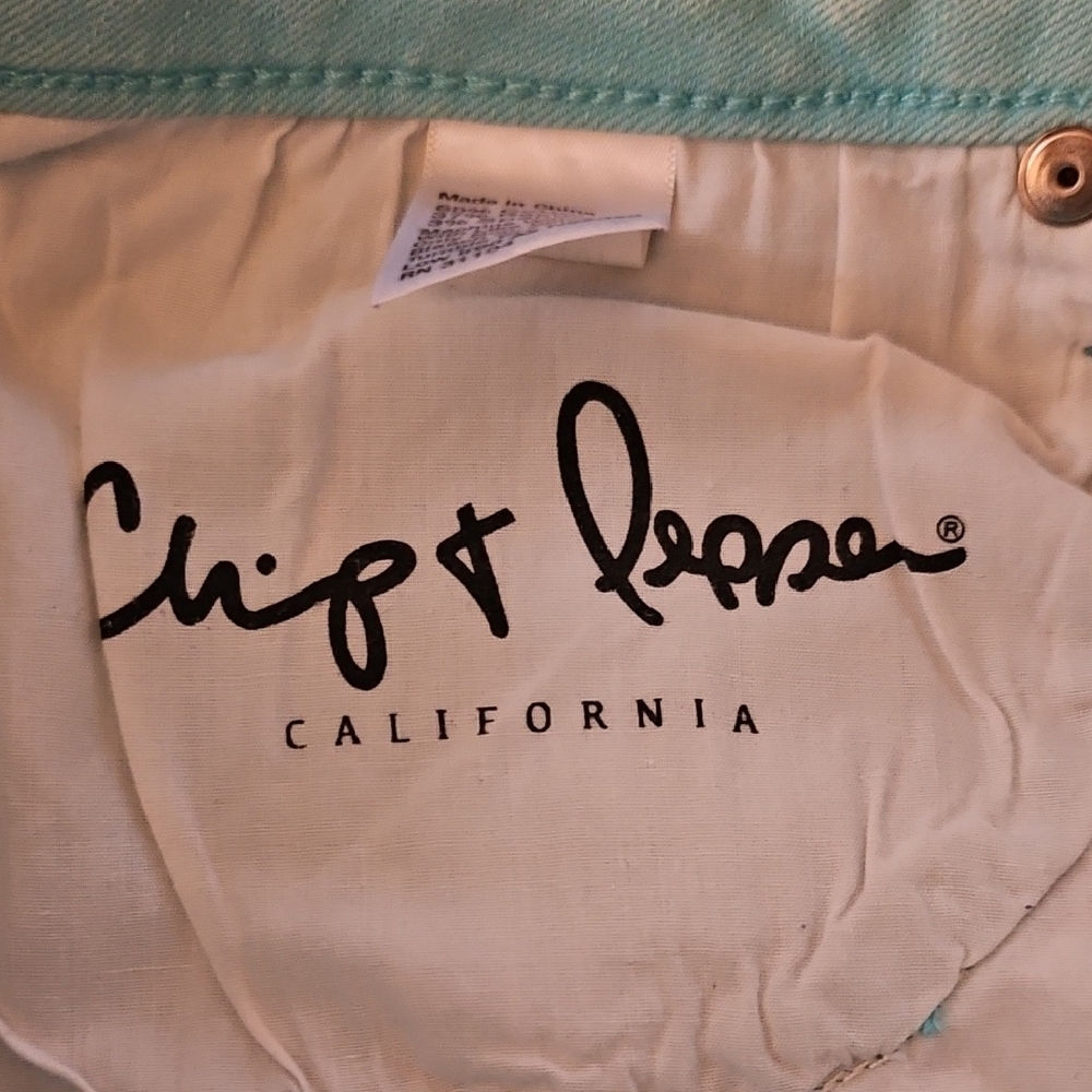 Chip & Pepper-Stonewashed Mint/Blue Green Shorts- Size 30 - Picture 7 of 8